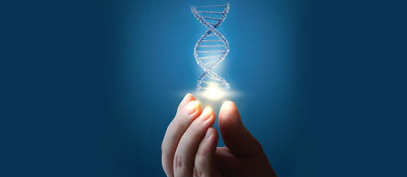 Identifying Genetic Risk Factors